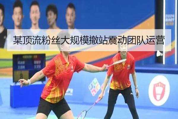 某顶流粉丝大规模撤站震动团队运营