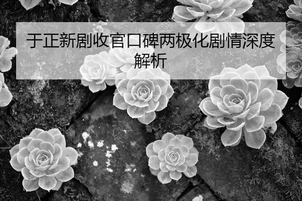 yu-zheng-xin-ju-shou-guan-kou-bei-liang-ji-hua-ju-qing-shen-du-jie-xi-1-263.jpg